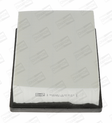 Air Filter (CAF101082P)