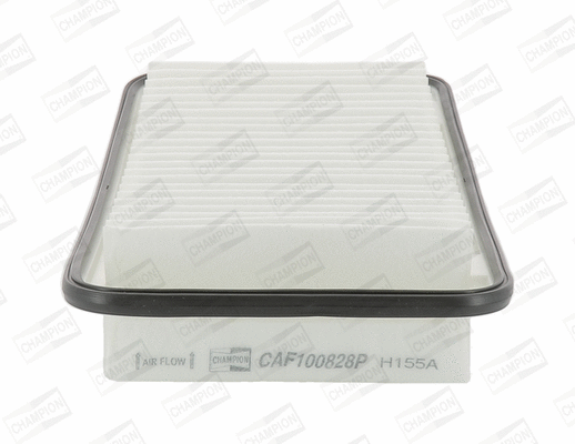 Air Filter (CAF100828P)