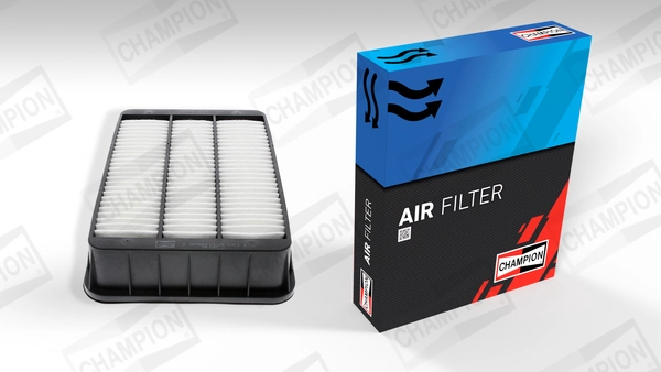 Air Filter (CAF100881P)