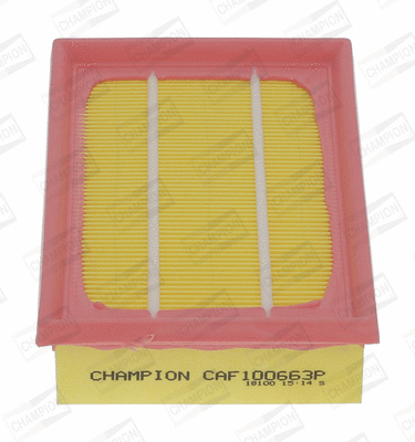 Air Filter (CAF100663P)