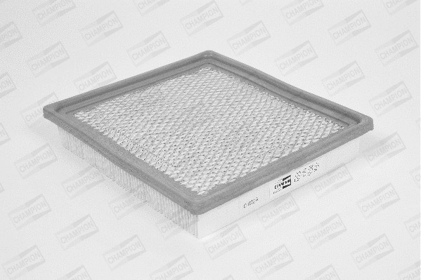 Air Filter (U856/606)