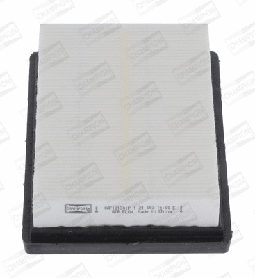 Air Filter (CAF101301P)