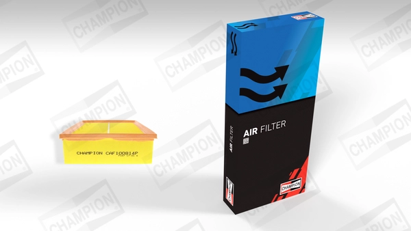 Air Filter (CAF100814P)