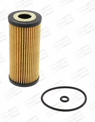 Oil Filter (COF100512E)