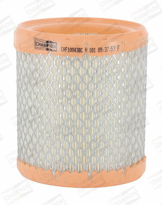 Air Filter (CAF100438C)