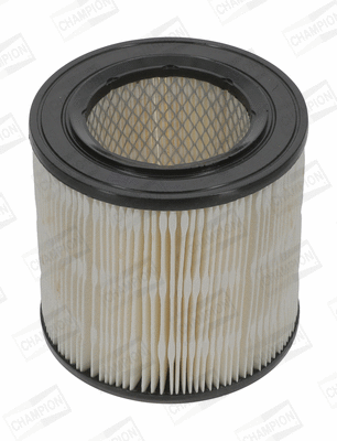 Air Filter (CAF100198R)