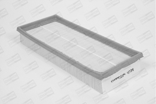 Air Filter (U738/606)