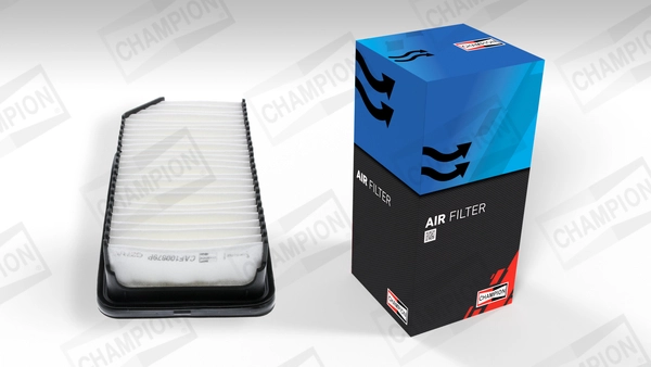 Air Filter (CAF100879P)