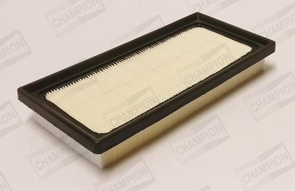 Air Filter (CAF101386P)