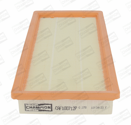 Air Filter (CAF100712P)