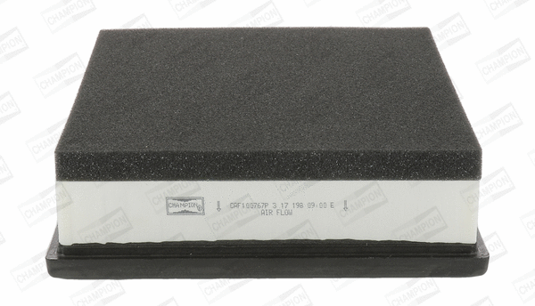 Air Filter (CAF100767P)