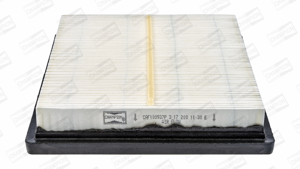 Air Filter (CAF100937P)