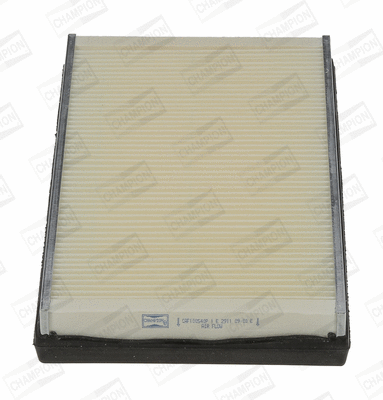 Air Filter (CAF100540P)