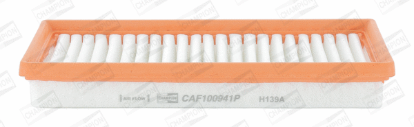 Air Filter (CAF100941P)