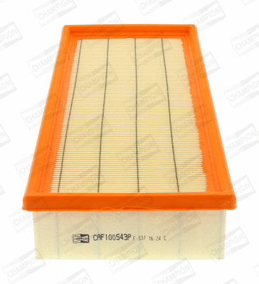 Air Filter (CAF100543P)