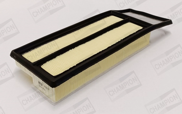 Air Filter (CAF100997P)