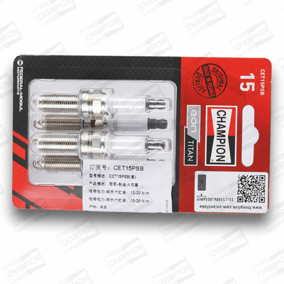 Spark Plug