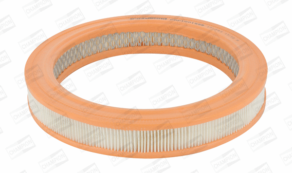 Air Filter (CAF100155R)