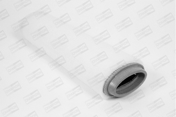 Air Filter (V460/606)