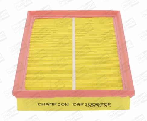 Air Filter (CAF100670P)