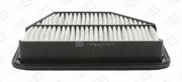 Air Filter (CAF100896P)