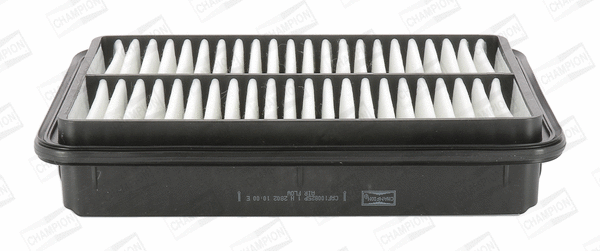 Air Filter (CAF100825P)