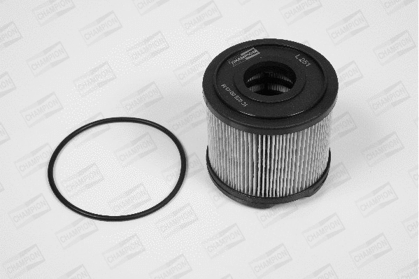 Fuel Filter (L251/606)