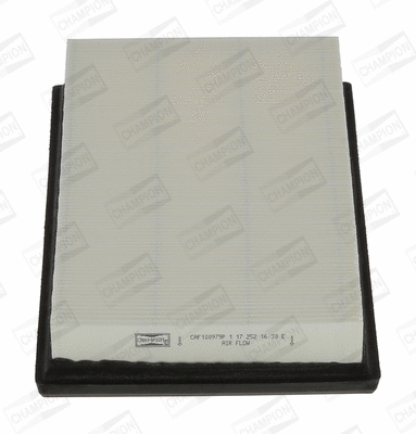 Air Filter (CAF100979P)