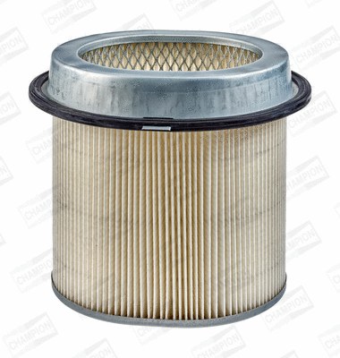 Air Filter (CAF100436C)
