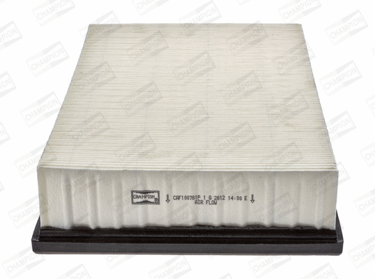 Air Filter (CAF100781P)