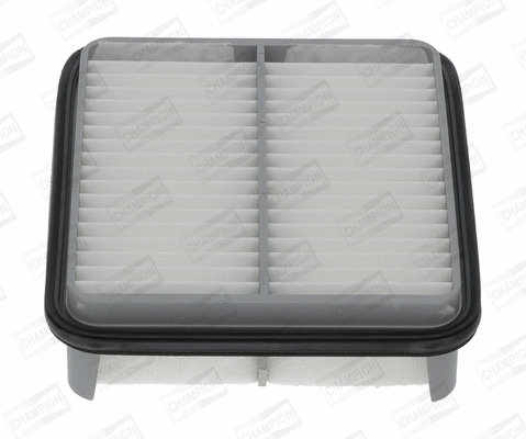 Air Filter (CAF100967P)
