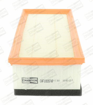 Air Filter (CAF100974P)