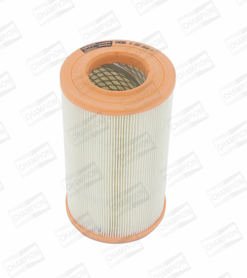 Air Filter (CAF100495C)
