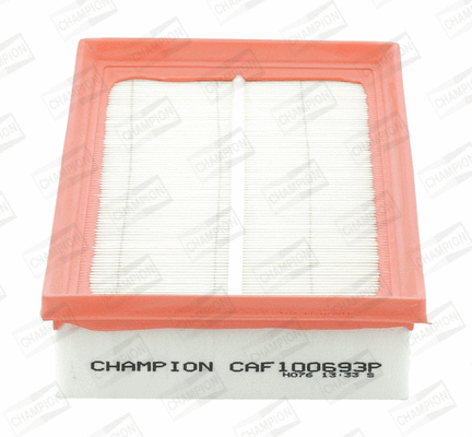 Air Filter (CAF100693P)