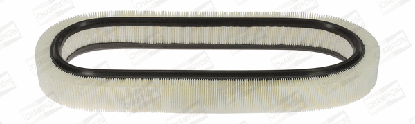 Air Filter (CAF100228R)