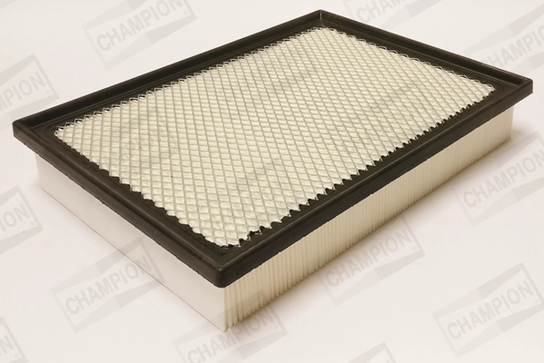 Air Filter (CAF101387P)