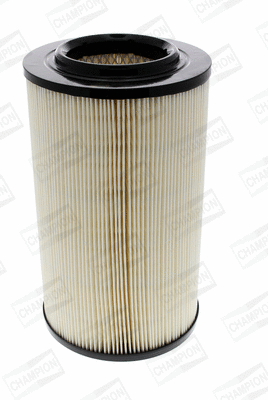 Air Filter (CAF100186R)