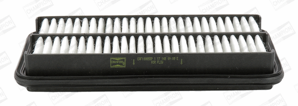 Air Filter (CAF100855P)