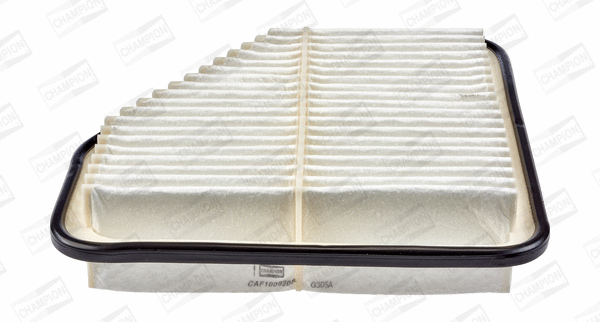 Air Filter (CAF100920P)