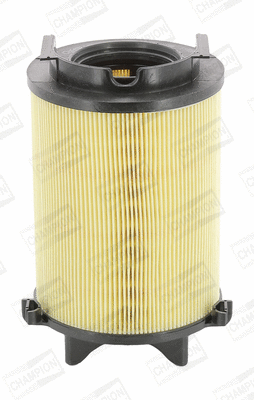 Air Filter (CAF100466C)