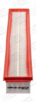 Air Filter (CAF100717P)