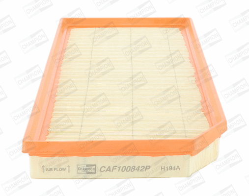 Air Filter (CAF100842P)
