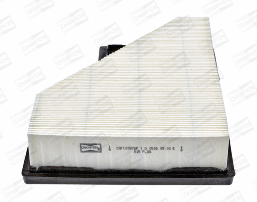 Air Filter (CAF100876P)