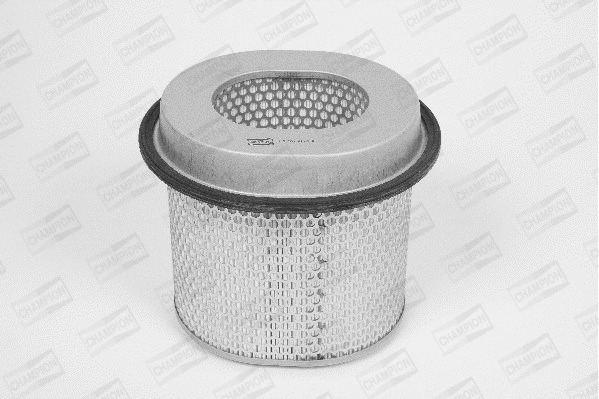 Air Filter (W721/606)