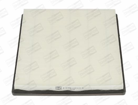 Air Filter (CAF100599P)