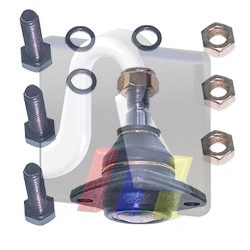 Ball Joint (93-00169-056)
