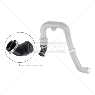 Charge Air Hose (R16437)