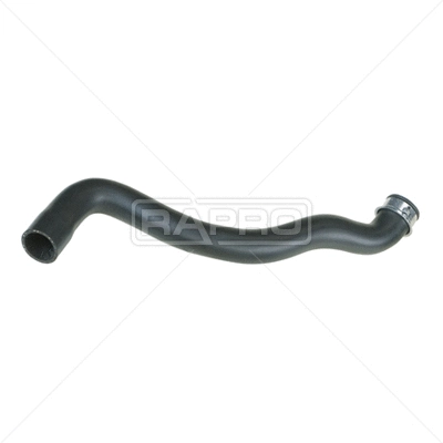 Radiator Hose (R28184)