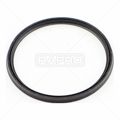 Seal Ring, air filter housing intake hose (R19824)
