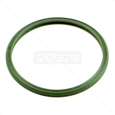 Seal Ring, air filter housing intake hose (R19825)